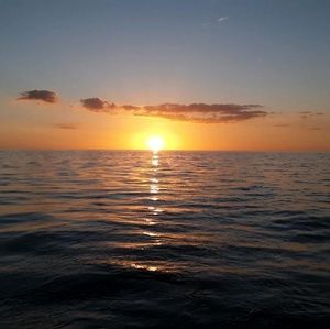 Meet your Posher, Tami